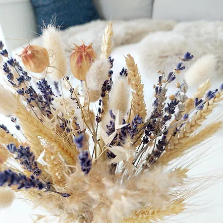 Otto Drei - Am Kaiserstuhl Apartmán